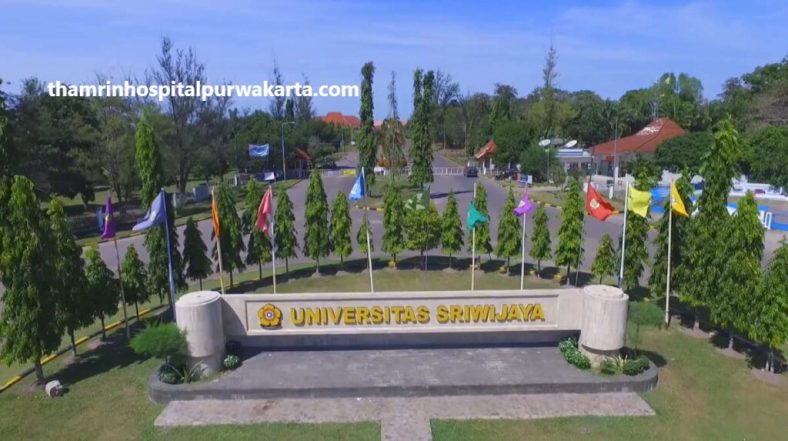Informasi Universitas Terbesar di Indonesia dan Jumlah Luasnya