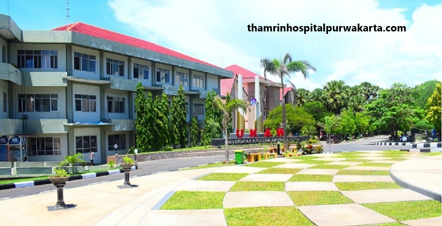 Daftar Universitas Terbaik NTT Terbaru 2023