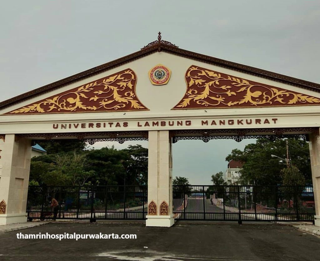 Daftar Universitas Terbaik di Kalimantan Dengan Akreditasinya